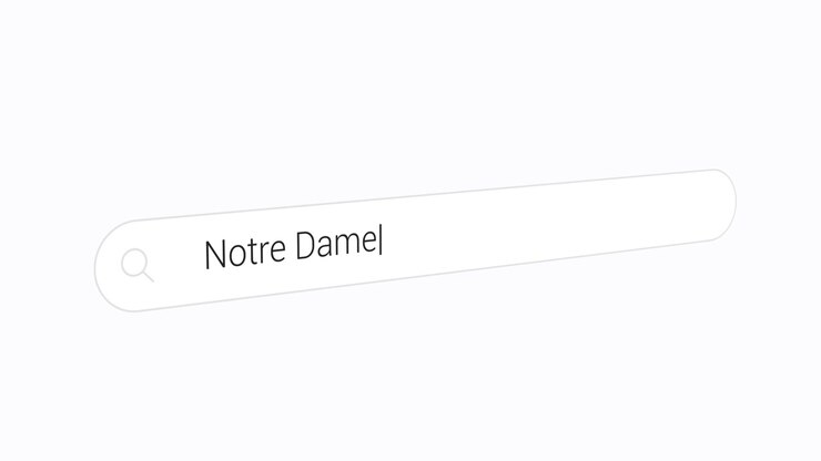 Typing Notre Dame on the Search Engine