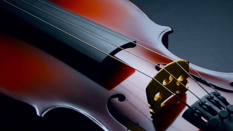 violin on black background close up