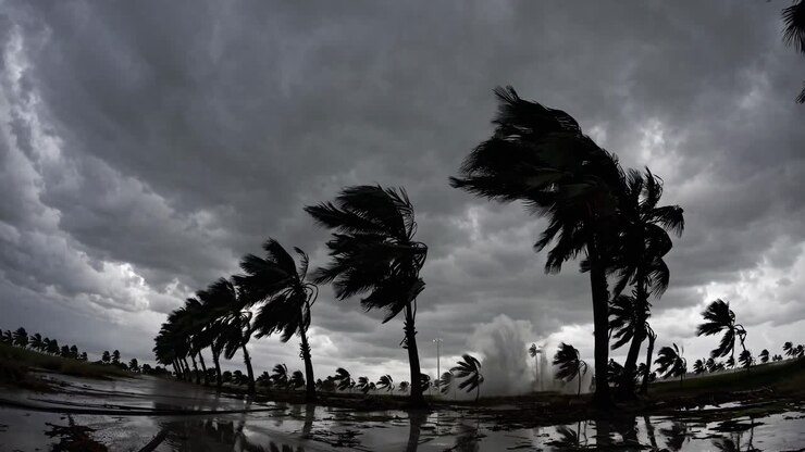 Dramatic fisheye video captures stormy skies and windswept palm trees, emphasizing the power