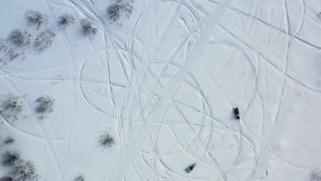 snowmobiles leaving tracks in a snowy forest