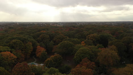 an aerial shot taken directly over colorful tree tops during the fall season