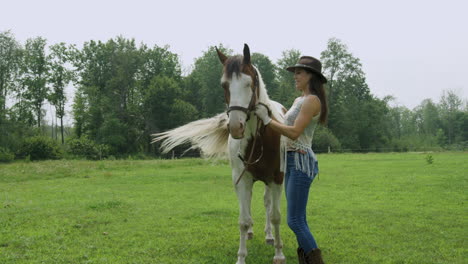 stylish young woman rider puts a bridle on her male pinto horse