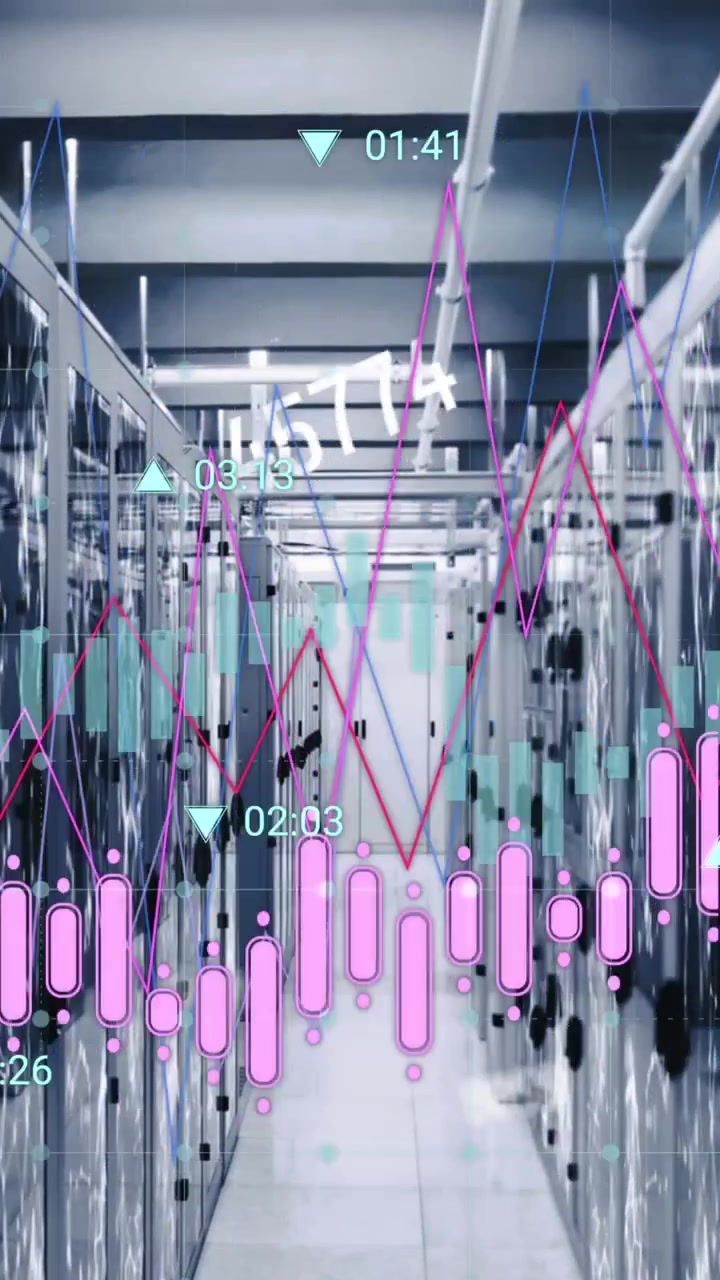Animation of financial data processing over computer servers