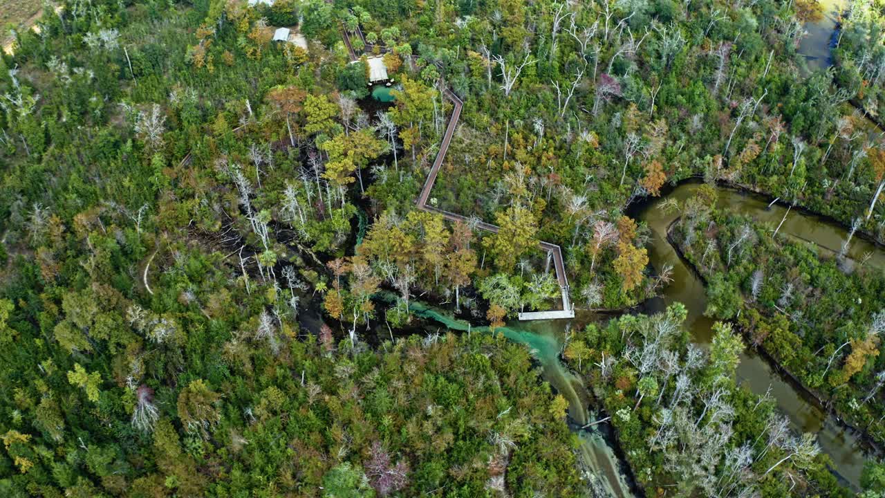 Bright turquoise spring water winds through a dense subtropical forest near Pitt and Sylvan Springs in Florida, revealing natural waterways, wooden trails, and lush vegetation from above