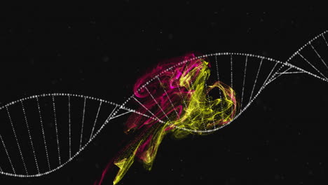 dna strand and colorful abstract animation over black background