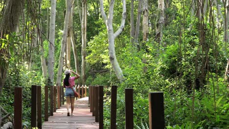 woman walking on the wooden path through the mangrove forest