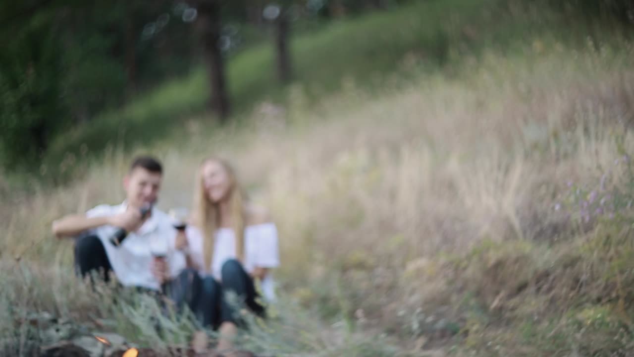 Happy Young Couple Drinking Wine Outside. Beautiful couple on the park making a picnic and drinking wine