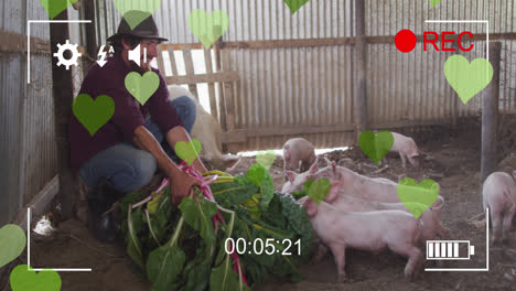 animation of heart icons over caucasian man feeding pigs