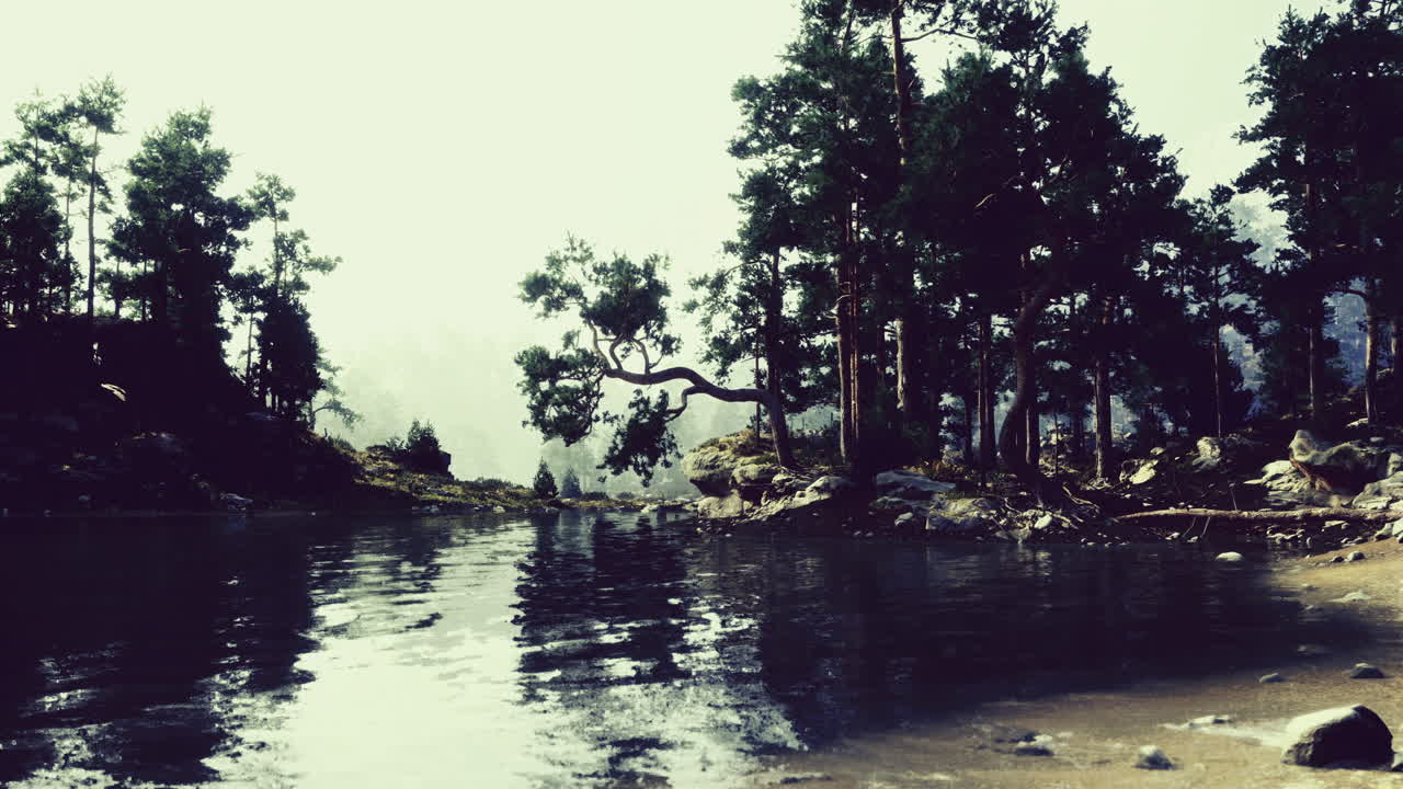 Tranquil lakeside view surrounded by trees in a misty forest