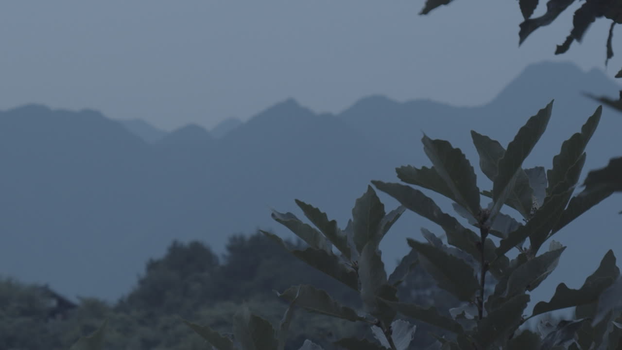 Green leaves swaying in the wind with at the background a mountain view on a cloudy day.