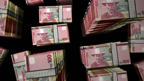 vuelo sobre el dólar de namibia dinero billetes paquetes de animación de bucle