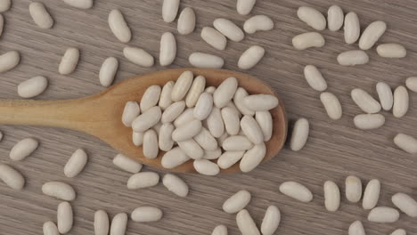 white beans legumes on wooden spoon