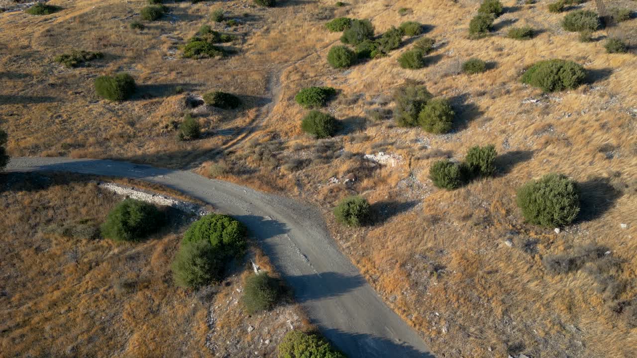 Aerial View of Dry Grassland with Dirt Road and Shrubs
