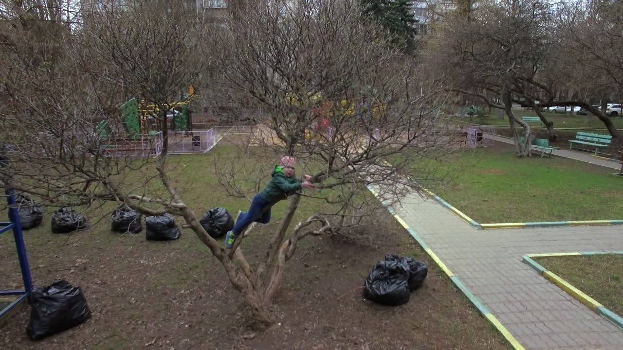 volando sobre el niño en el árbol en el patio de la casa