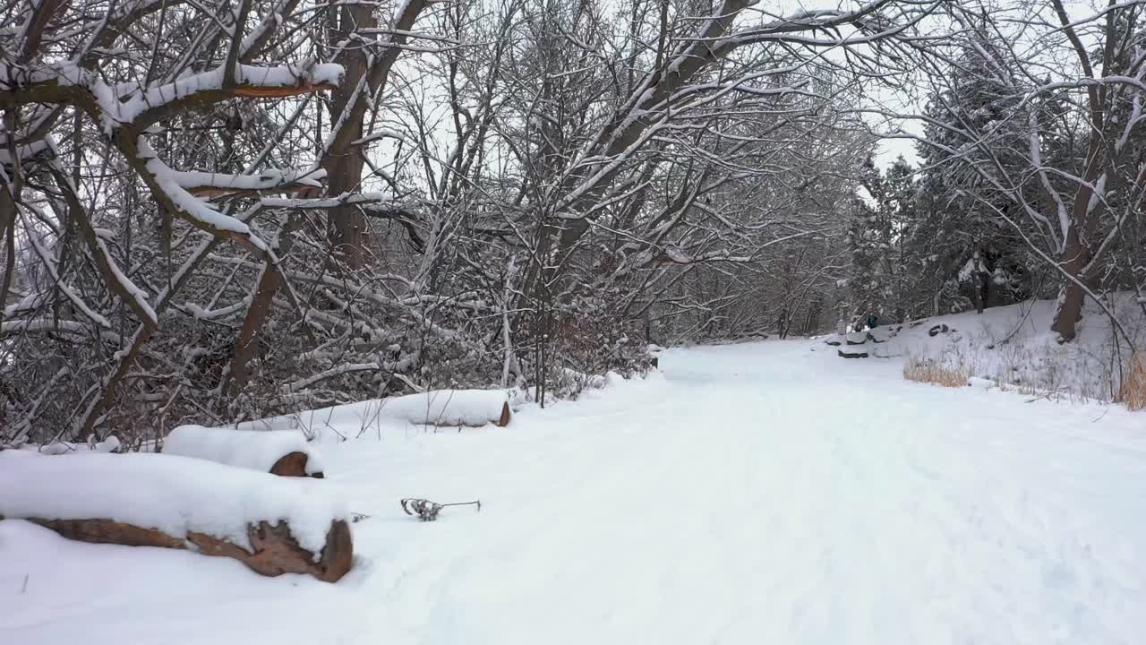 공공 공원에서 눈 덮인 길을 따라 총