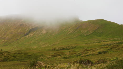 foggy weather landscape shot of the base of hornstrandir mountain, iceland