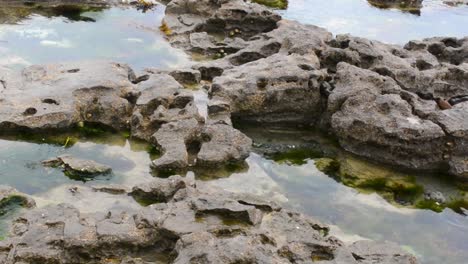 rocky pools of water with moss on cloudy day close up