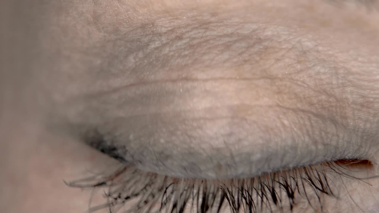 아이리스 소녀 클로즈업