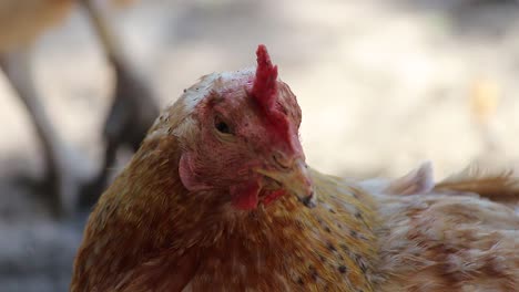 hen thinking about her day on the range