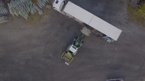 wrapped norwegian spruce trees being loaded on truck with tractor