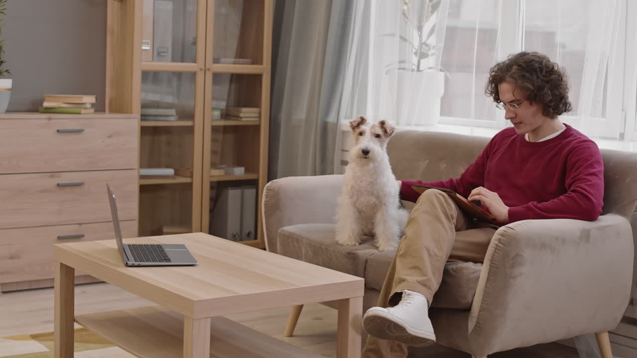 hombre ocupado y perro fox terrier