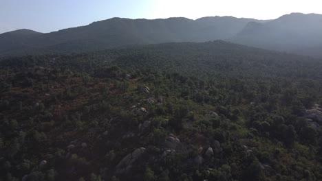 aerial view of mountainous forest