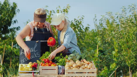 abuela y nieta ponen verduras en el mostrador del mercado de agricultores