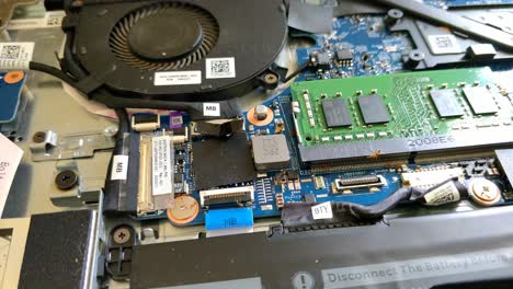 ants living inside a small crevices of laptop internal hardware