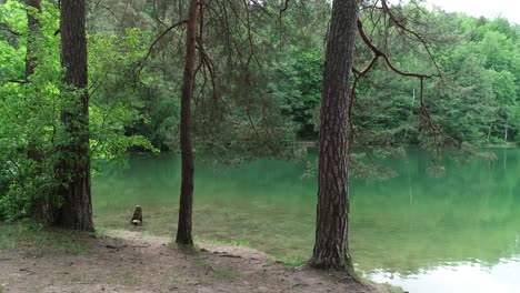 In-the-middle-of-the-forest-I-found-a-green-lake