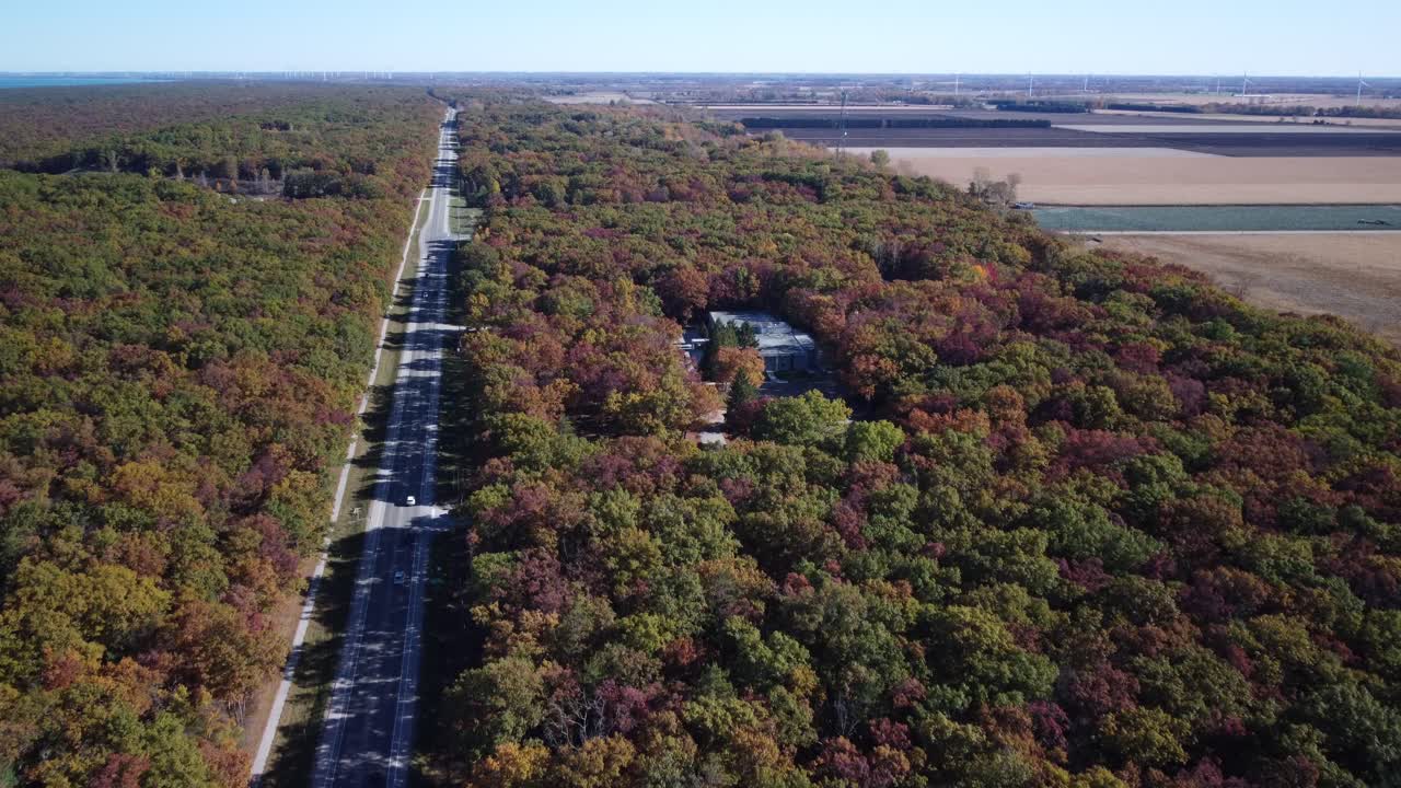 Symmetrical Road Through Autumn Forest Along Lake Huron Ontario – Aerial Drone Footage