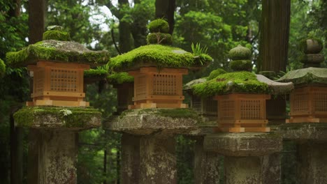 row of moss covered stone gold lanterns of kasugataisha shrine in nara public park