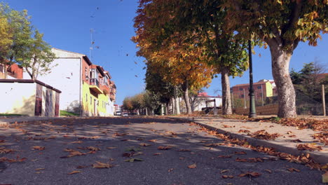 magnificent autumn colors