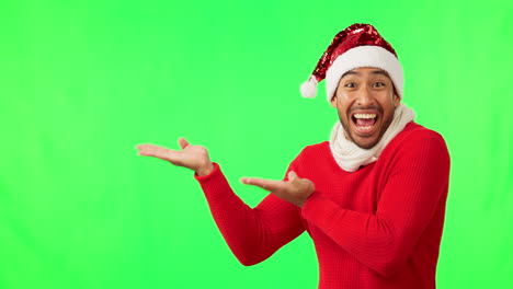 Happy-man,-Christmas-portrait