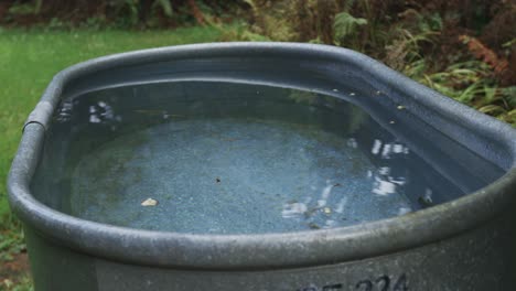 cold plunge water hydrotherapy background in a galvanized oval tub