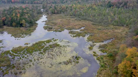 flying down river aerial 4k