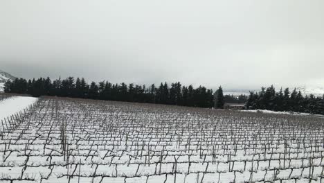 drone aerial view of snow covered vineyard farm on hill slope and countryside, israel