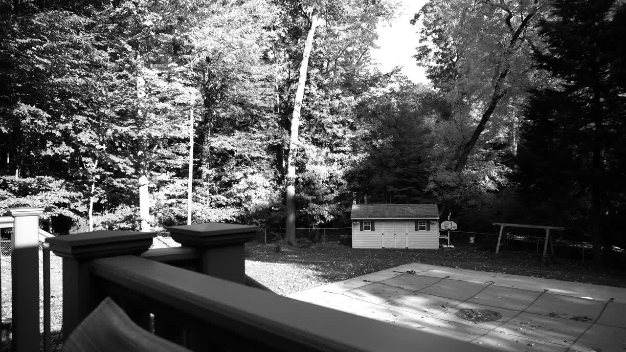 집 의 마당 에서 볼 수 있는 정원 _ 검은색 과 색