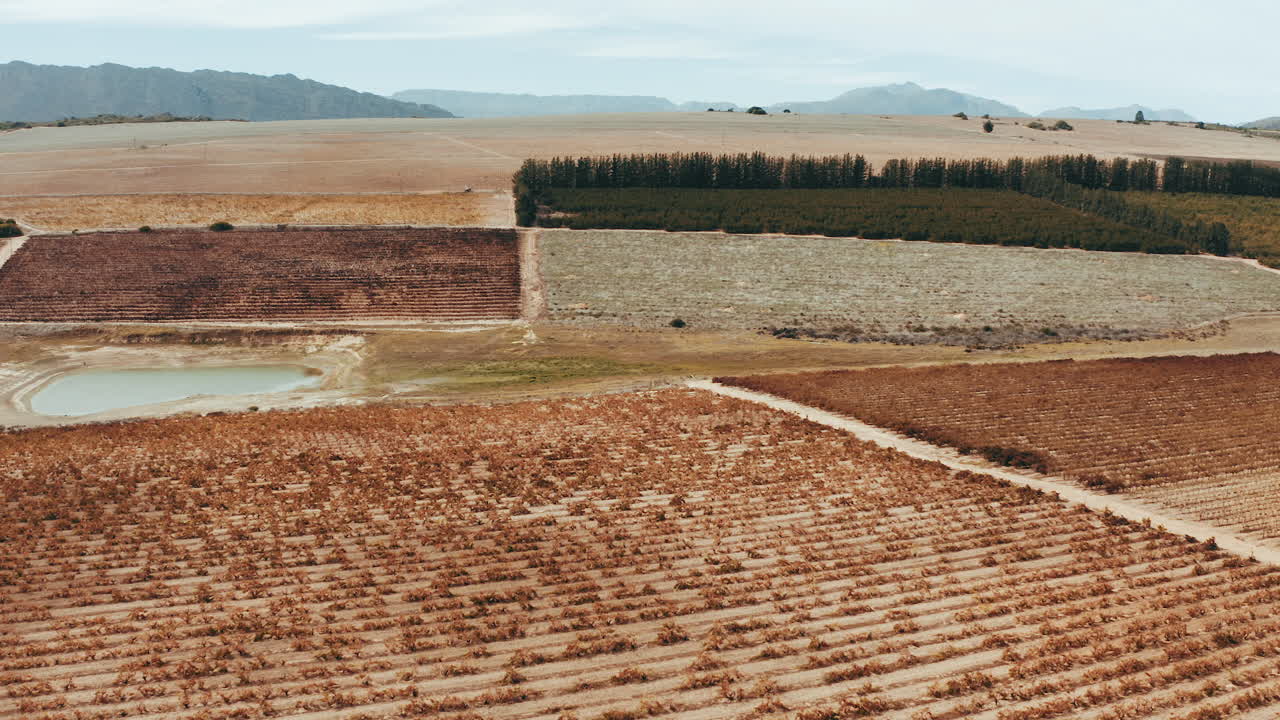 더 많이 심을수록 더 많이 자랄 겁니다.