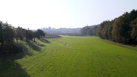 aerial fiew flying through a beautiful green meadow with trees near the village of cresnjevec in the countryside of slovenia