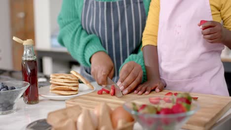 Midsection-of-african-american-mother-and-daughter-chopping-fruits-in-kitchen,-slow-motion