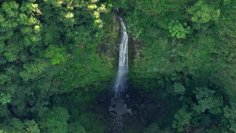 aerial view of waterfalls and green forest in summer in bonao, dominican republic