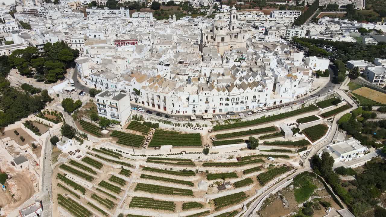 ⁇ 은 날 에 이탈리아 의 전통적 인 언덕 꼭대기 마을 인 로코로톤도 마을 의 집 들 과 테라스 포도원 에 대한 공중 풍경