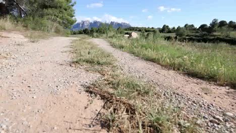 bajando camino0