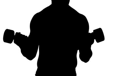 muscular silhouette of man lifting dumbbels