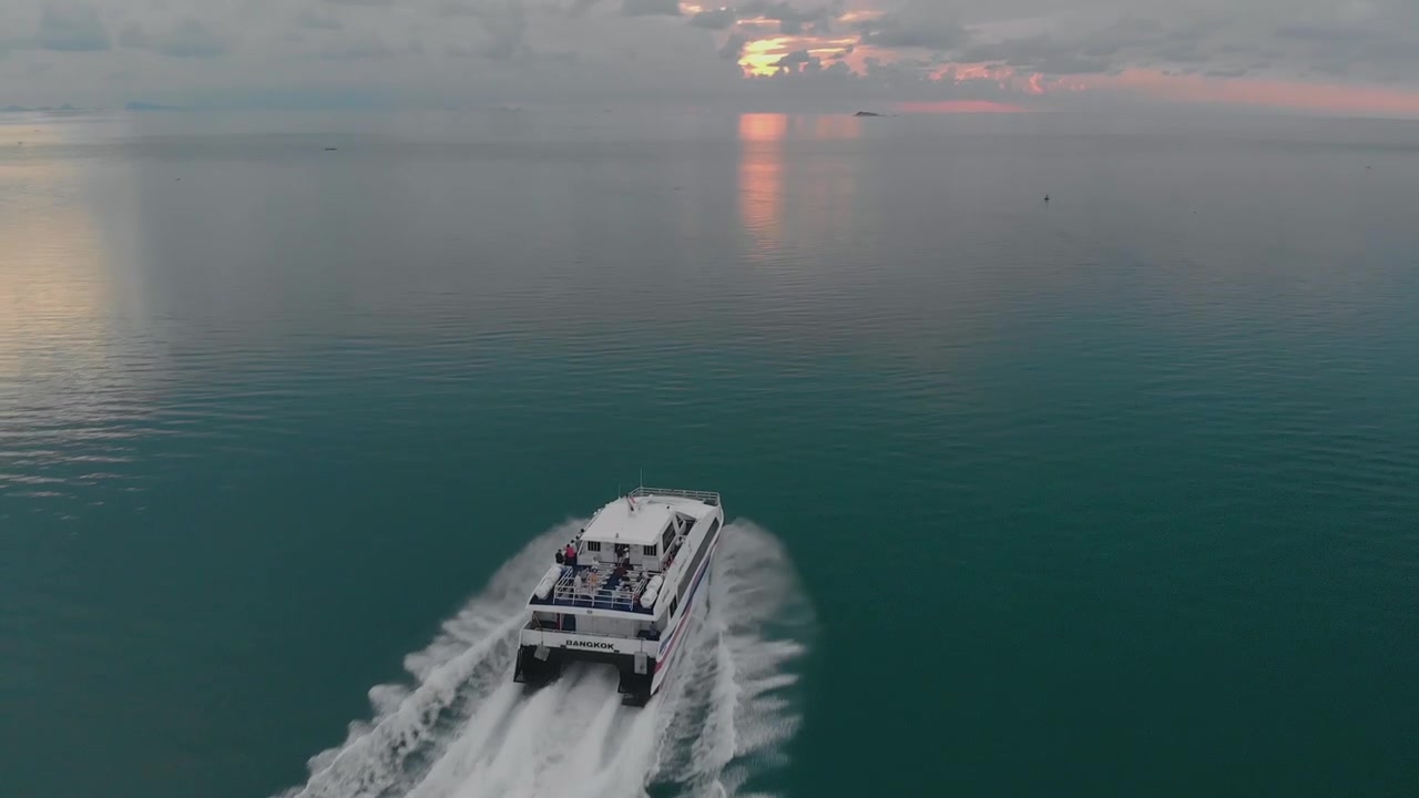 Catamarano veloce naviga verso il tramonto in mezzo al mare verde