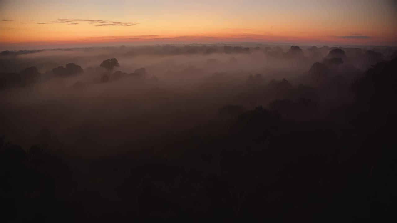 탐보파타 국립보호구역을 덮고 있는 아침 안개 위로 보이는 정글 나무들