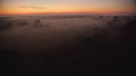 árboles-De-La-Selva-Visibles-Por-Encima-De-La-Niebla-De-La-Mañana-Que-Cubre-La-Reserva-Nacional-De-Tambopata