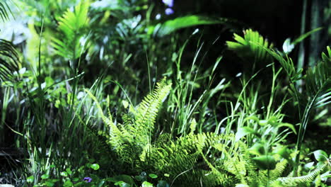 close up of lush green foliage in a tropical jungle