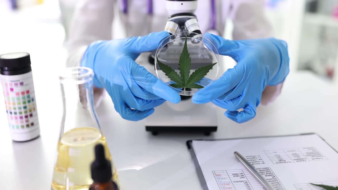 Cannabis research in the laboratory