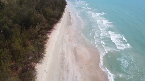 Aerial:-Forest-meets-ocean